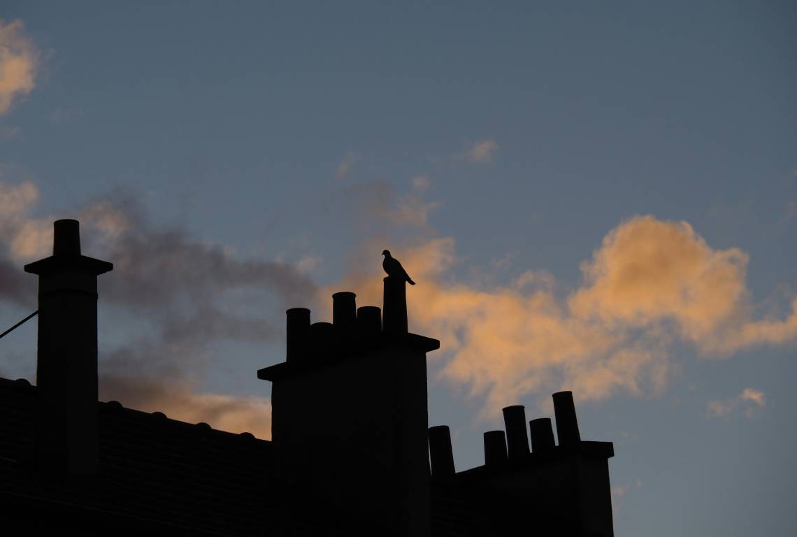 STS Benelux website performance optimization